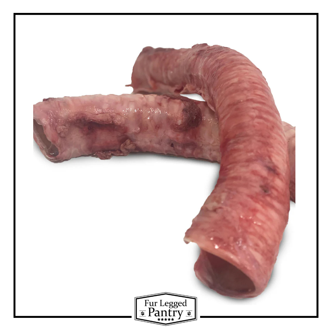 Beef Trachea Raw (2)
