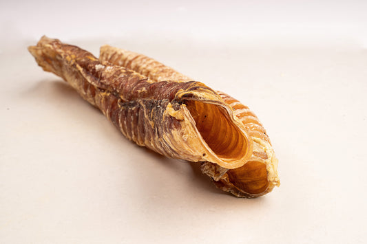 Beef Trachea