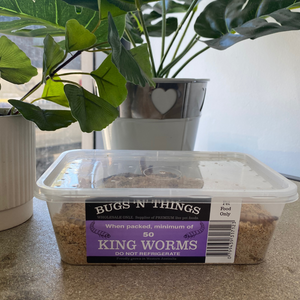 Live King Meal Worms - 50 Tub