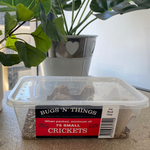 Live Small Crickets - 75 Tub