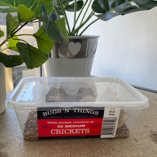 Reptile Food – Fur Legged Pantry