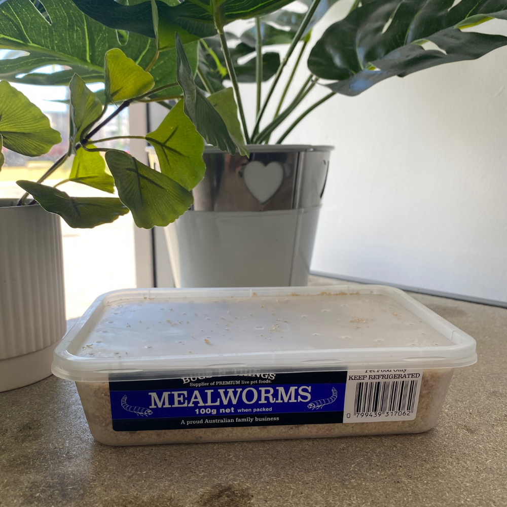 Mealworms 100g Tub