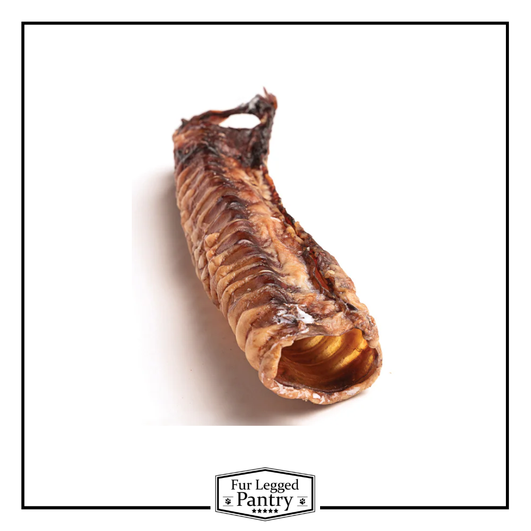 Beef Trachea