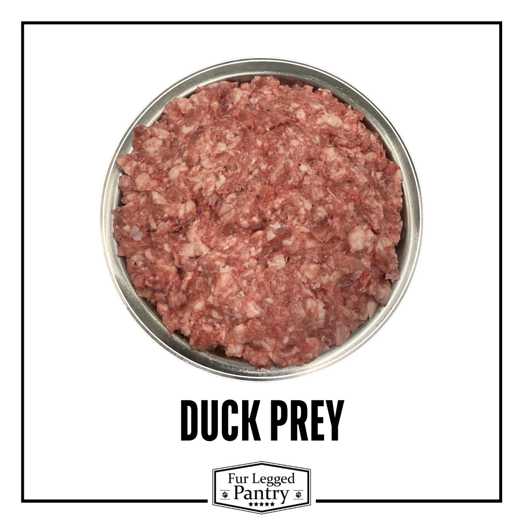 Duck Prey