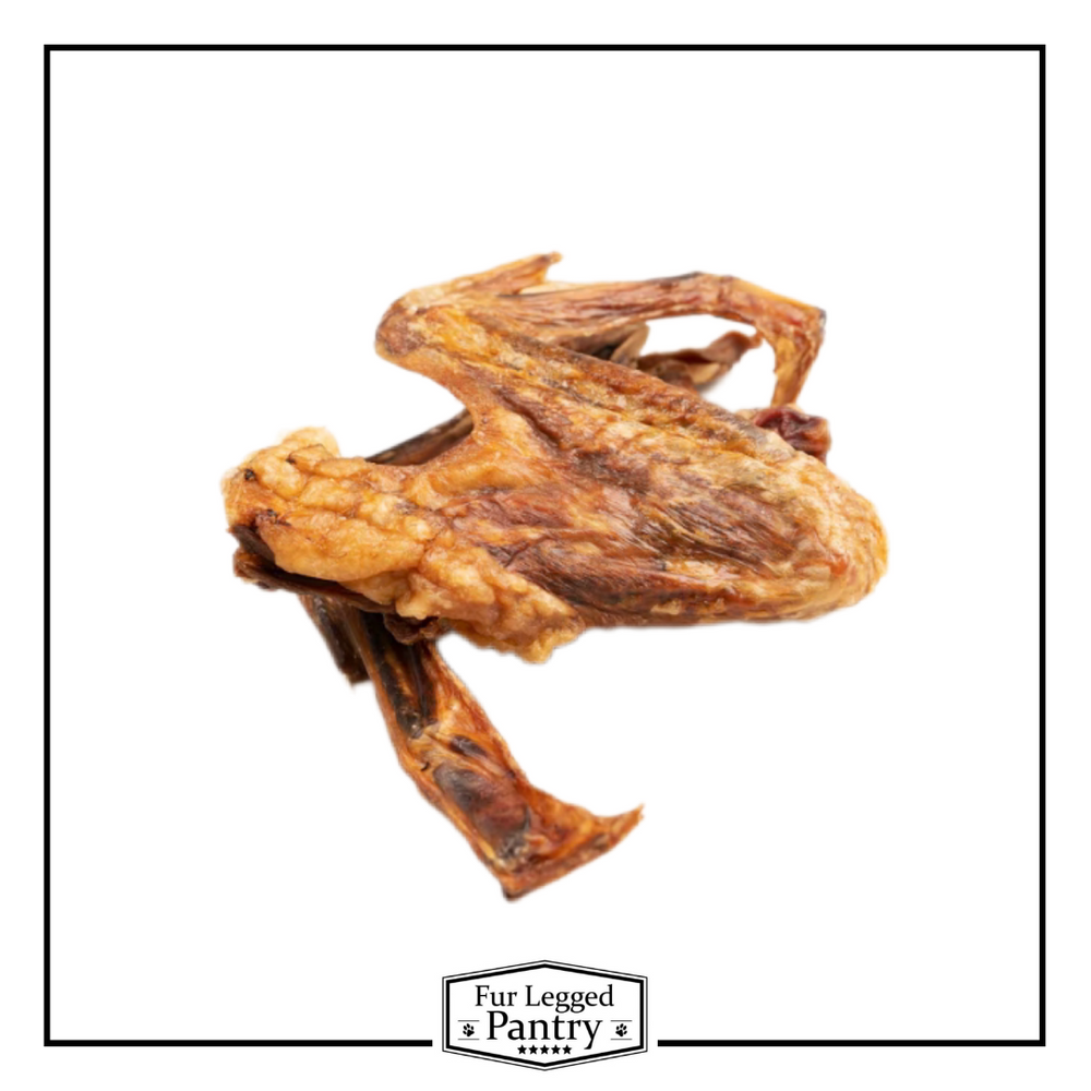 Duck Wings (10)
