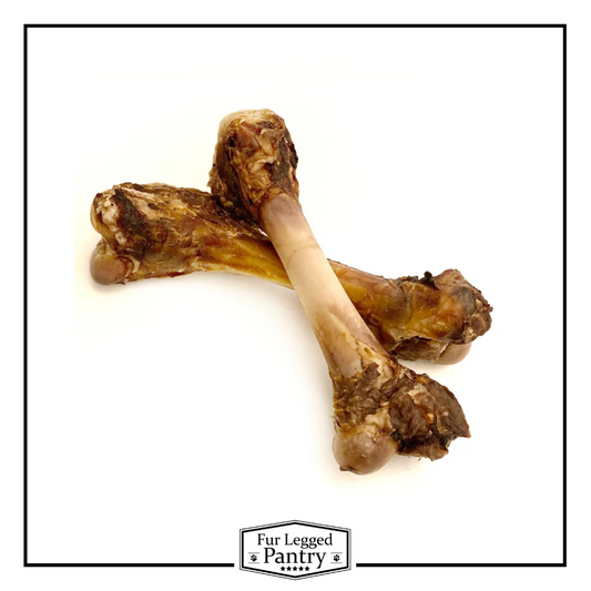 Lamb Femur Bones