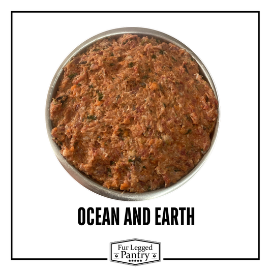 Ocean & Earth 1kg