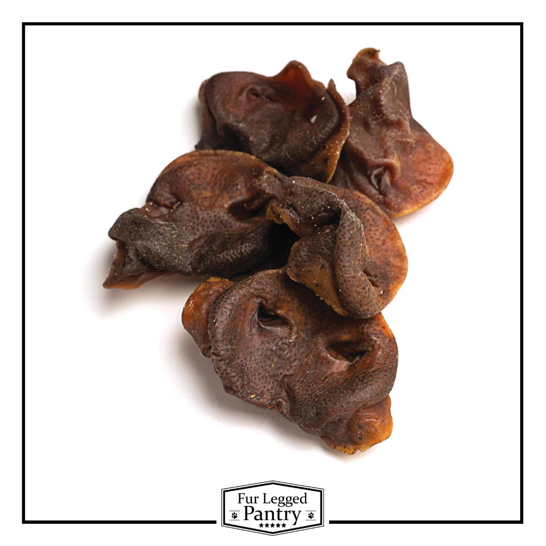 Pig snouts (100g) – Fur Legged Pantry