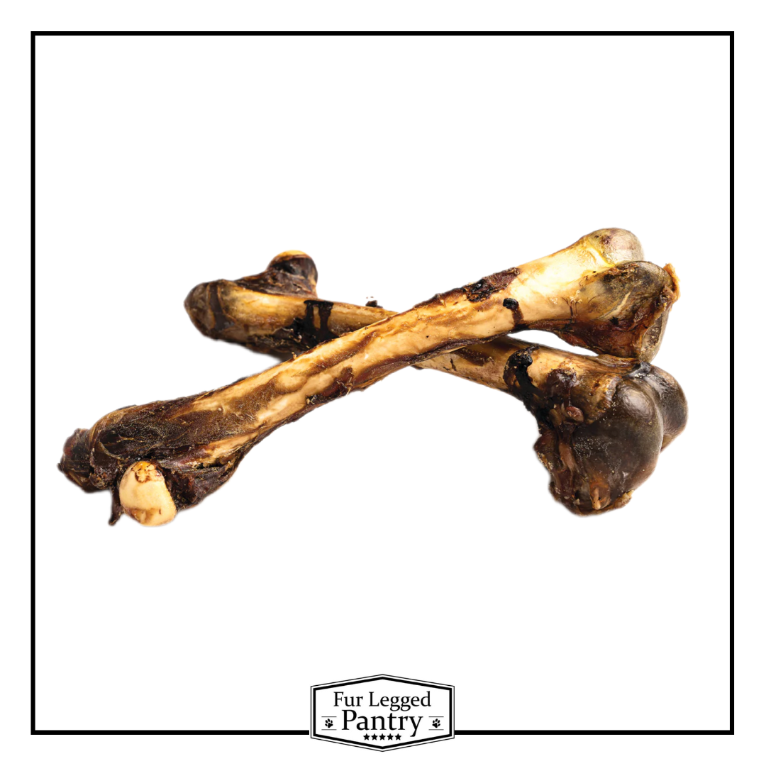 Roo Femur Bones