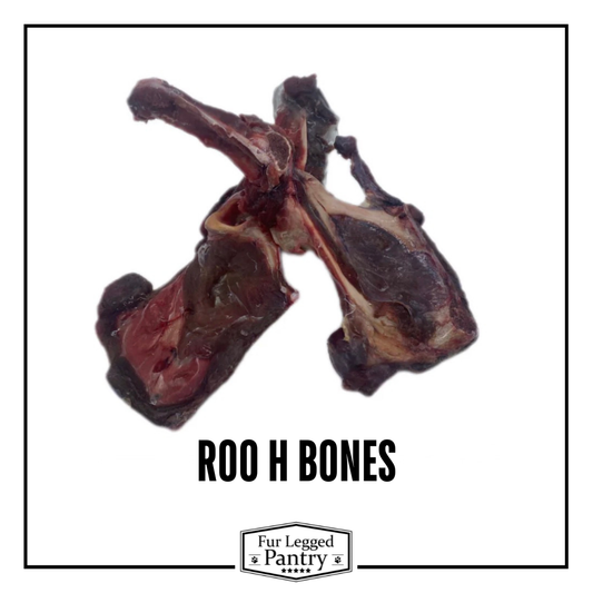 H Bones (Pack Of 2)