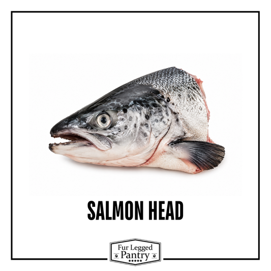 Salmon Head