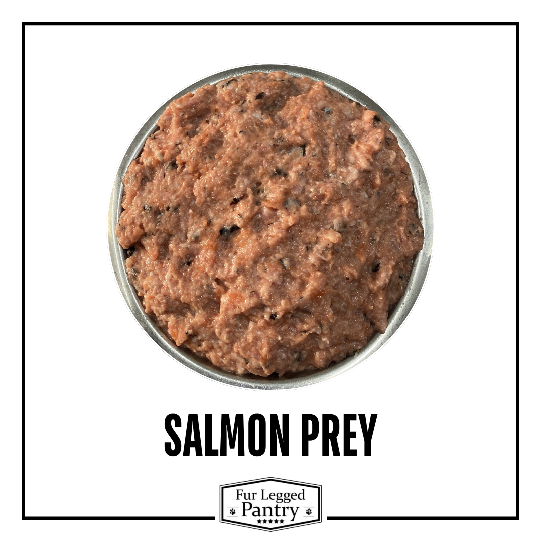 Salmon Prey