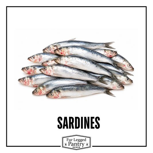 Sardines 1kg